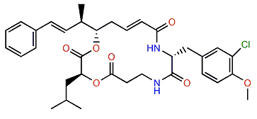 Cryptophycin 29